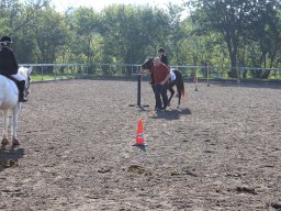 img_0230_web